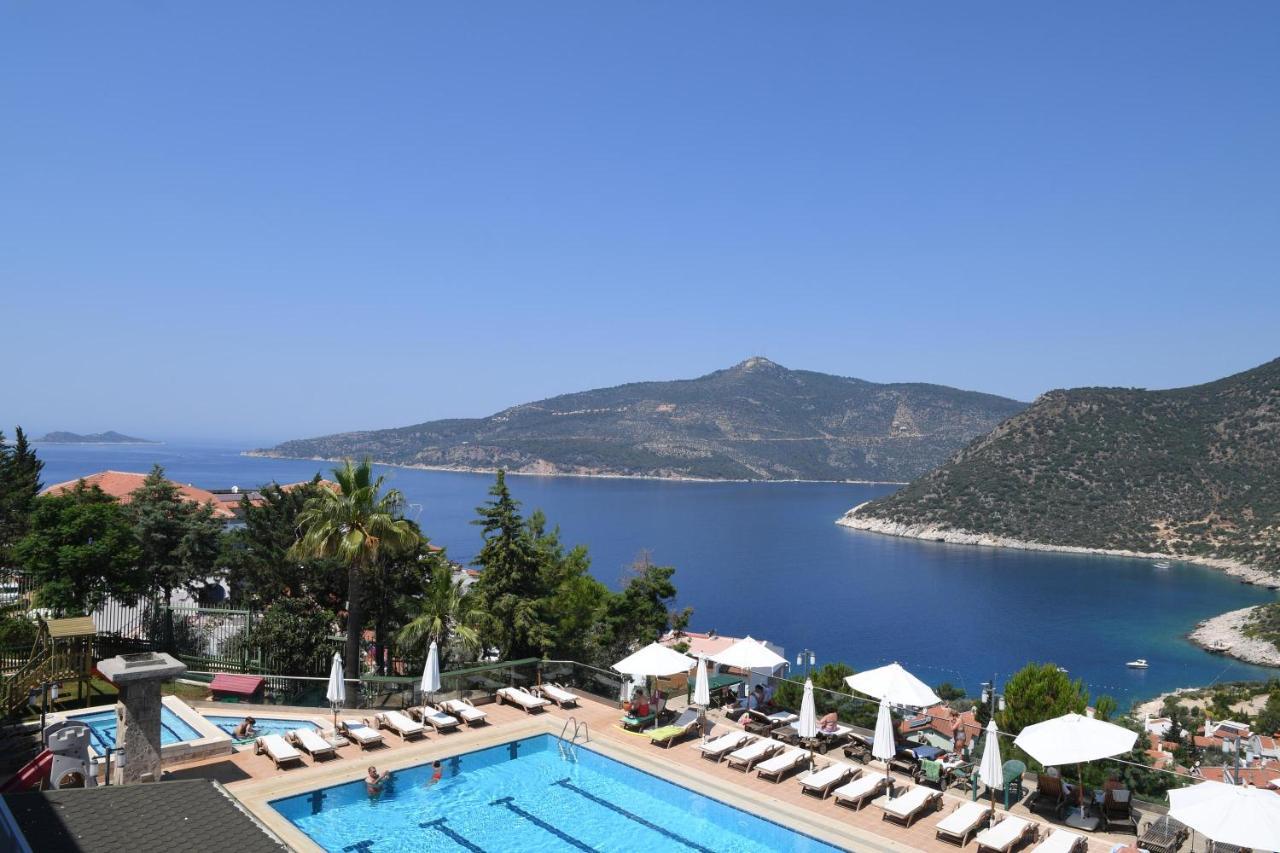 Happy Kalkan